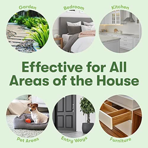 BugMD - Pest Control Essential Oil Concentrate 3.7 oz - Plant Powered Bug Spray, Kills Bugs Spiders Fleas Ticks Roaches, Ant Spray Indoor, Ant Killer for House, Flea Spray for Home, Bed Bug Spray